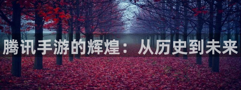 摩根娱乐是个什么平台啊