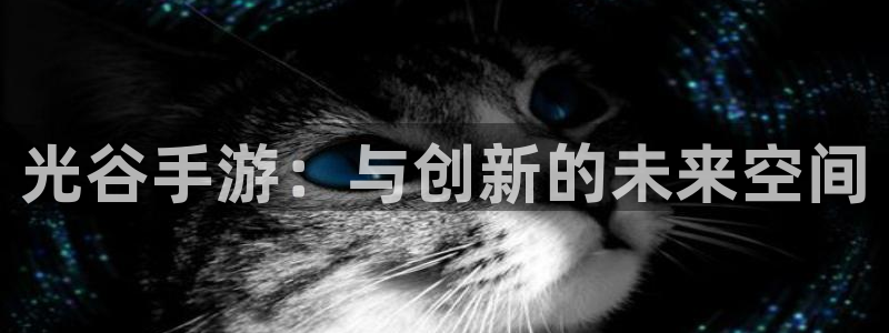 摩根娱乐挂机项目是什么：光谷手游：与创新的未来空间