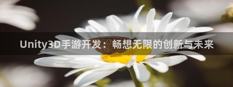 摩根娱乐这个平台怎么样：Unity3D手游开发：畅想无限的创