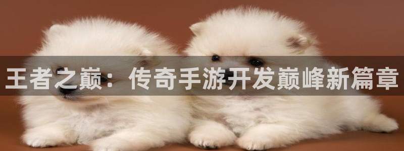 摩根娱乐挂机项目有哪些：王者之巅：传奇手游开发巅峰新篇章