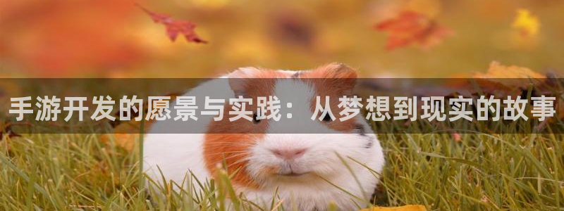 摩根娱乐这个平台怎么样呀：手游开发的愿景与实践：从梦想到现实
