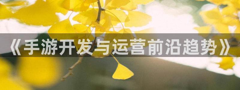 摩根娱乐这个平台怎么样啊：《手游开发与运营前沿趋势》