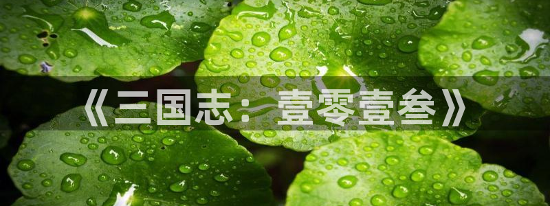 摩根娱乐官网：《三国志：壹零壹叁》